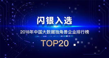 2018年中国大数据独角兽企业20强发布 闪银彰显技术领航实力